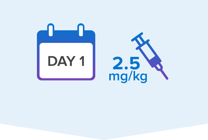 Day 1 calendar icon and 5 mg infusion bag icon